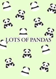 LOTS OF PANDAS/LIGHT YELLOW GREEN