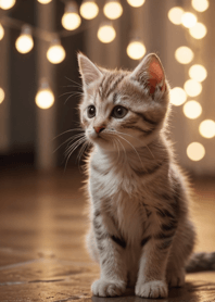 Cats run wild #GTWaL01.