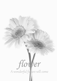 Gerbera wrapped in gentle happiness16.