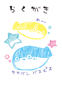 rakugaki sacabambaspis fashionable