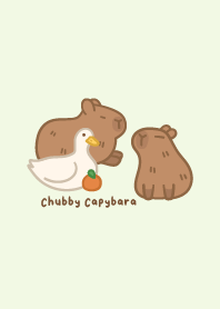 Chubby Capybara