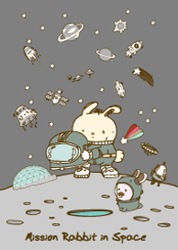 Mission Rabbit in Space