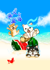 Summer sea with dogs3( Shiba dog )