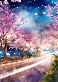 Beautiful night cherry blossoms#1518
