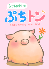 Rasen-Yumu's Mini Pigs