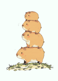 水豚家族疊疊樂/綠色