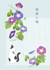 Morning glory and cats