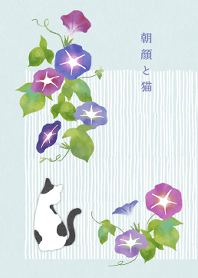 【開運】朝顔と猫