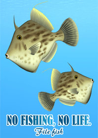 FILE FISH 1
