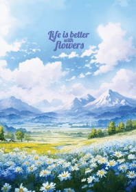 ทุ่งดอกไม้แสนสวยและฟ้าใส 6