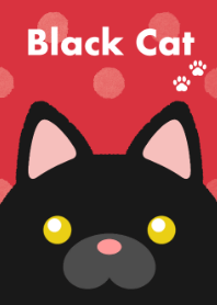 Black Cat[Polka Dot]