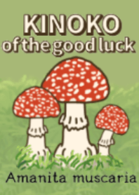 KINOKO of the good luck 2