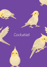Cute Cockatiel3 purple