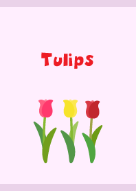 simple tulips on light purple