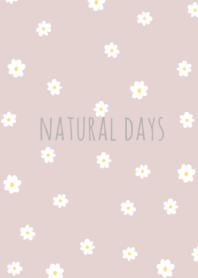 natural flower (ivorypink)