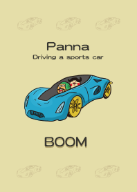 パンナスポーツカーの運転