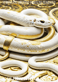 White snake  Lucky 10