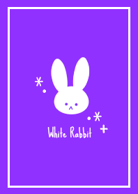 White Rabbit THEME /49