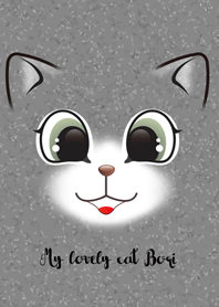 My lovely cat Bori