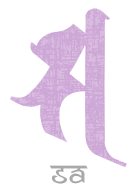 BONJI [sa] WHITE PURPLE (0315