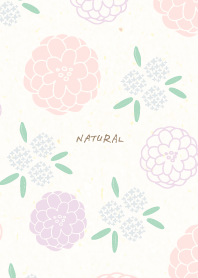 Many round flowers19 from Japan