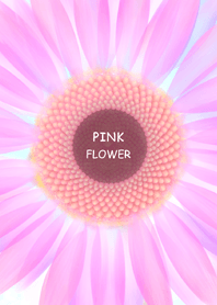 - PINK FLOWER -