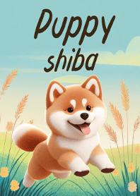 かわいい 柴犬