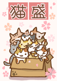 Cat special portion No.13 SAKURA