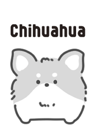 Monochrome Chihuahua theme
