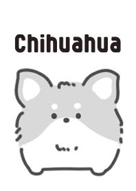 モノクロなチワワ