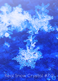 Real Snow Crystal #7-2