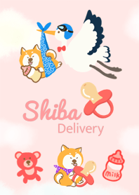 Shiba Delivery-Purple Collar
