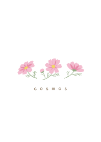 Simple flower/cosmos(white)