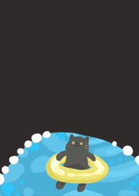 Cat pool