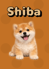 Shiba Inu Plush Theme Brown 05