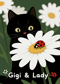 จีจี้พบเต่าทอง