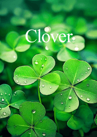 "Clover vol.2" theme