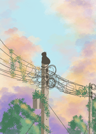 The Perch