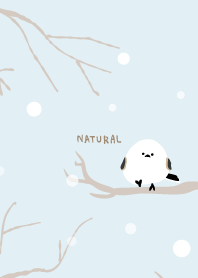 Long-tailed Tit snow6 from Japan