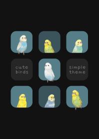 BIRDS - Budgerigar 01 - CLASSY BLUE