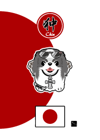 狆 ブラック&ホワイト