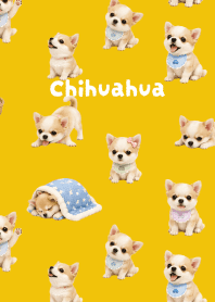 I love Chihuahuas01 yellow