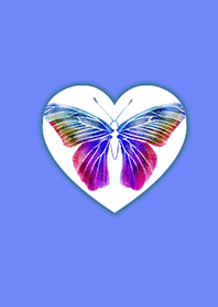 Simple light Butterfly Blue