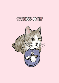 tabbycat6 / pink