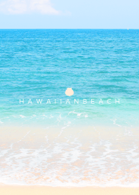 HAWAIIAN-BEACH MEKYM 4