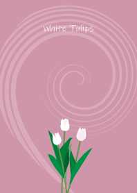January's birth flower,White Tulips