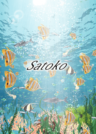 Satoko Coral & tropical fish