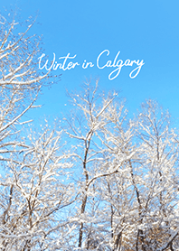 Winter in Calgary (35)