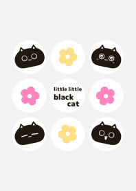 little little black cat