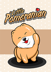 Oscar a little Pomeranian